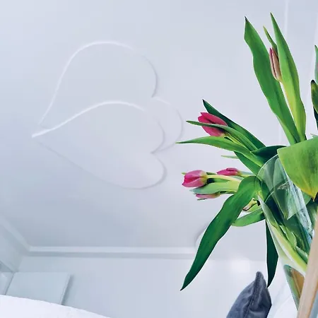 Apartman Luxe