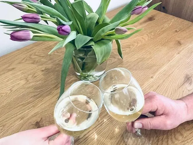 公寓 Luxe 柳托梅尔